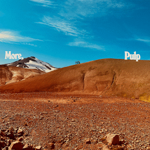 Pulp - More