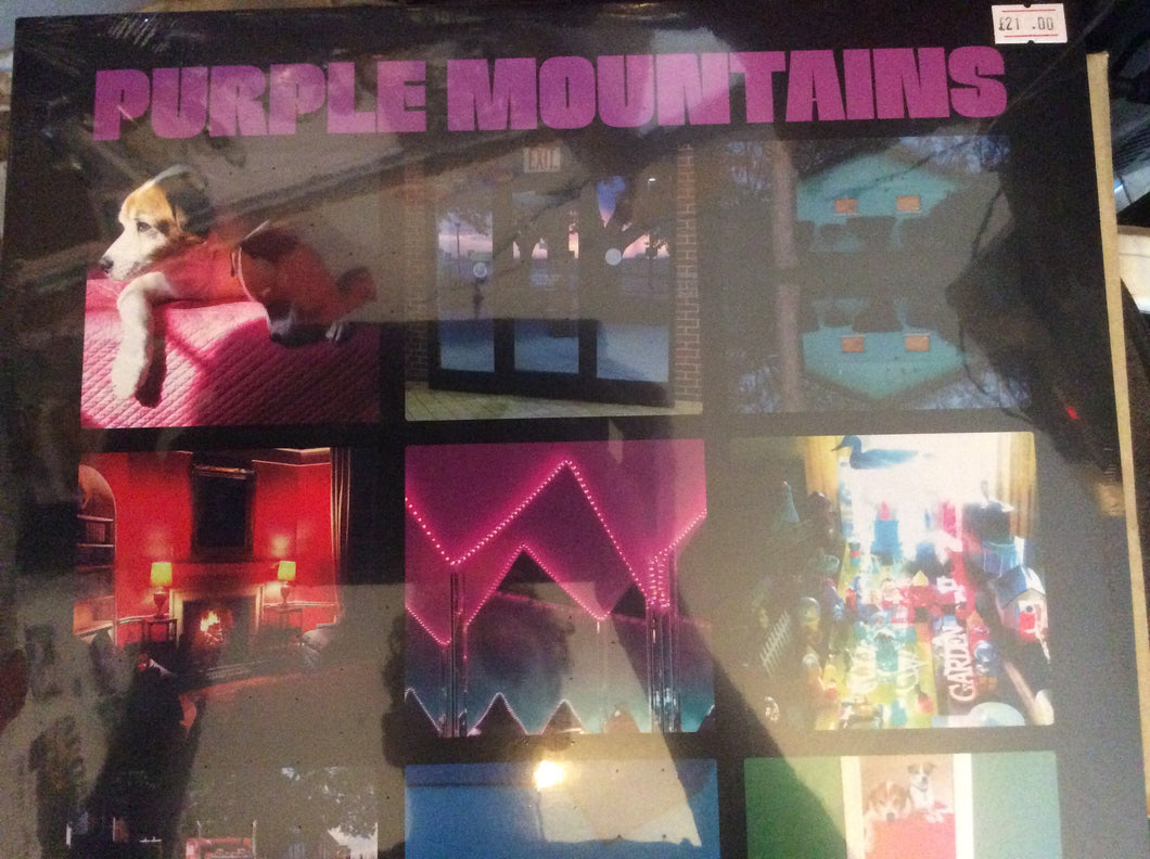 Purple Mountains- Purple Mountains