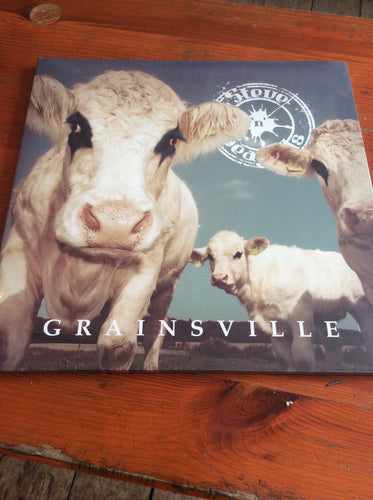 Steve 'N' Seagulls - Grainsville