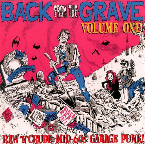 Back From The Grave Vol 1 - Rockin 1996 Punkers