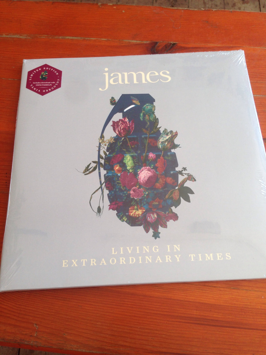 James - Living in Extraordinary Times